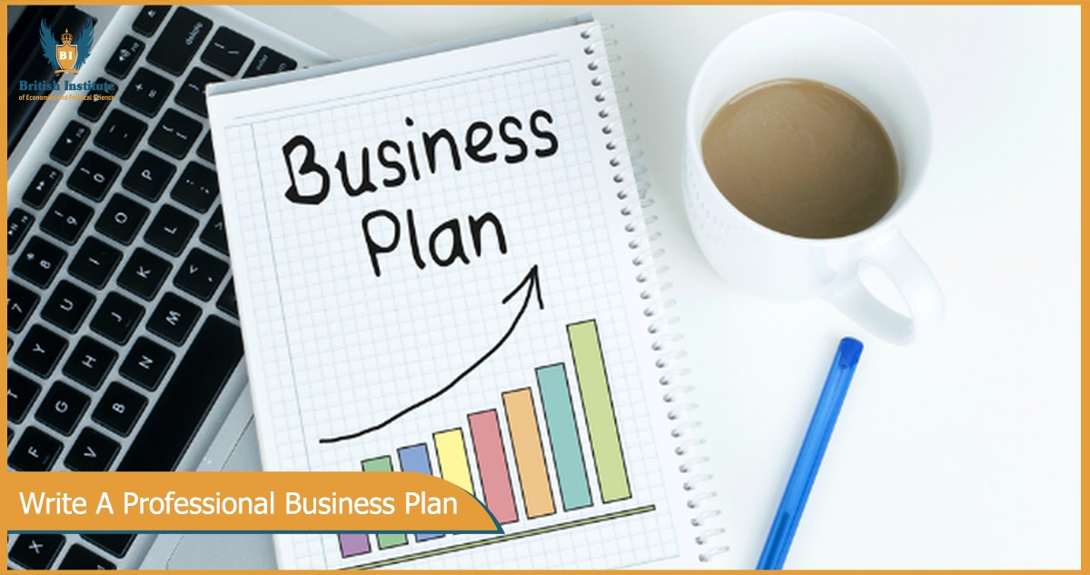 Write A Professional Business Plan